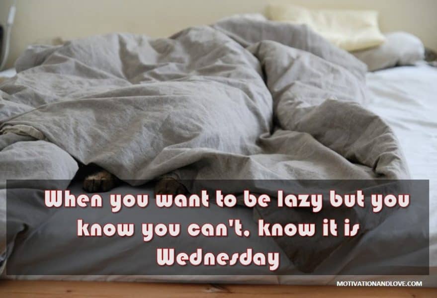 Wednesday Meme Want to Be Lazy