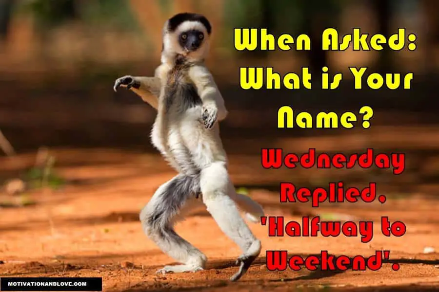 Wednesday Meme Your Name