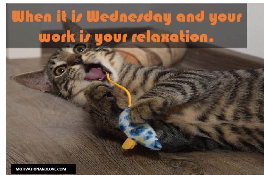 Wednesday Meme Your Relaxation 