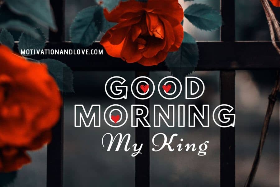 Good Morning My King