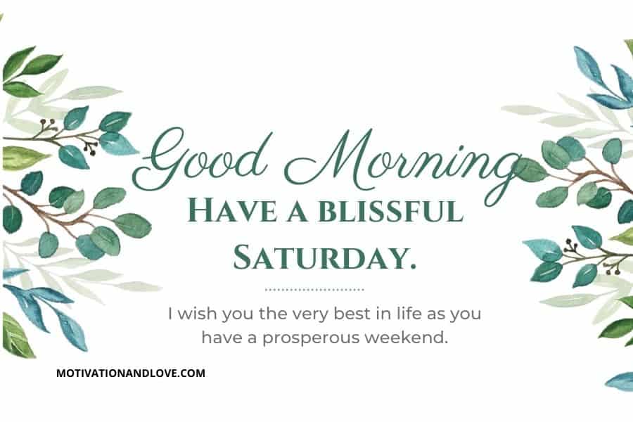 Have a blissful Saturday