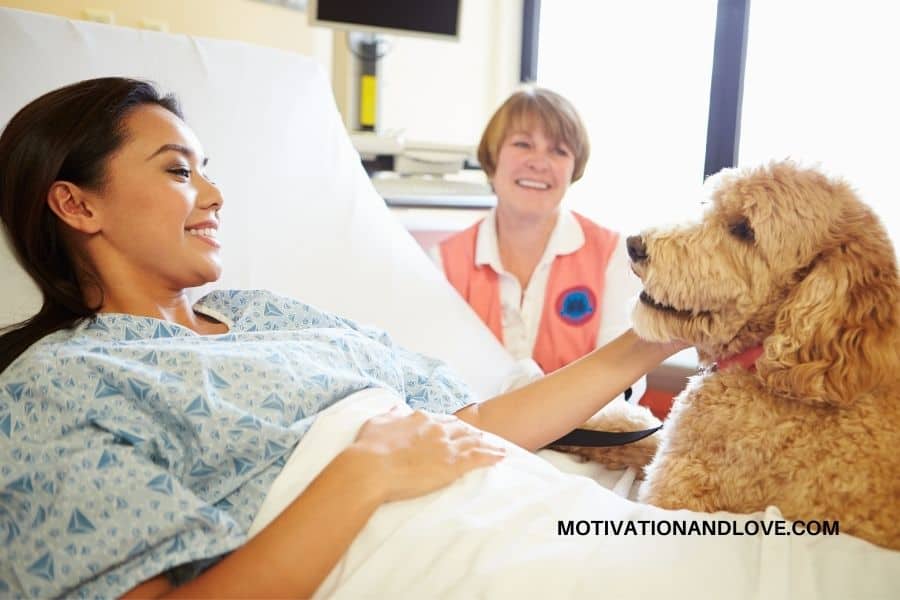 Why Therapy Dogs May Be Just What You Need To Get Better