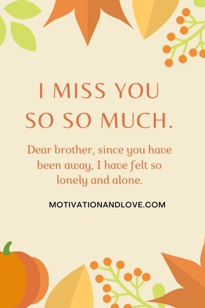 I Miss You My Brother