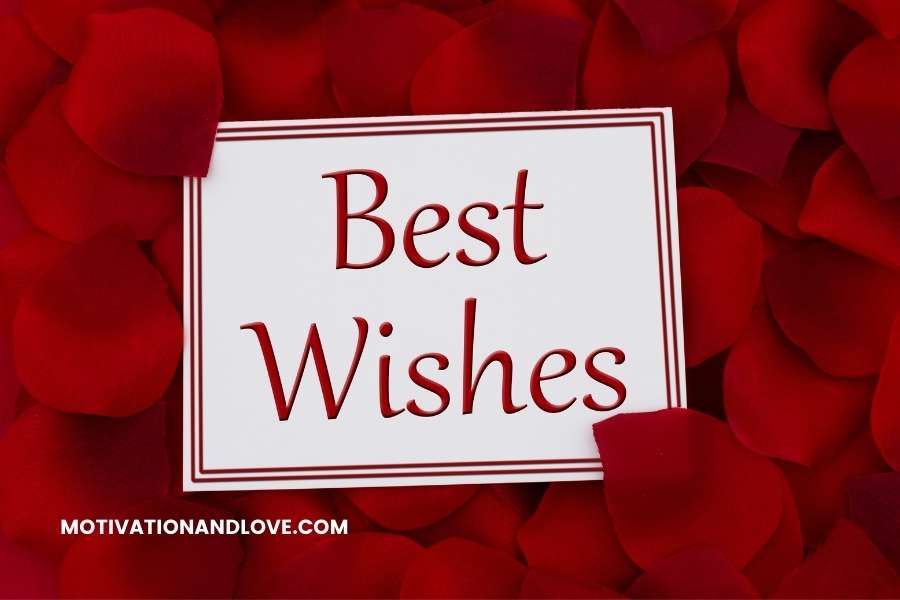 Best of Job Transfer Wishes for Someone Special