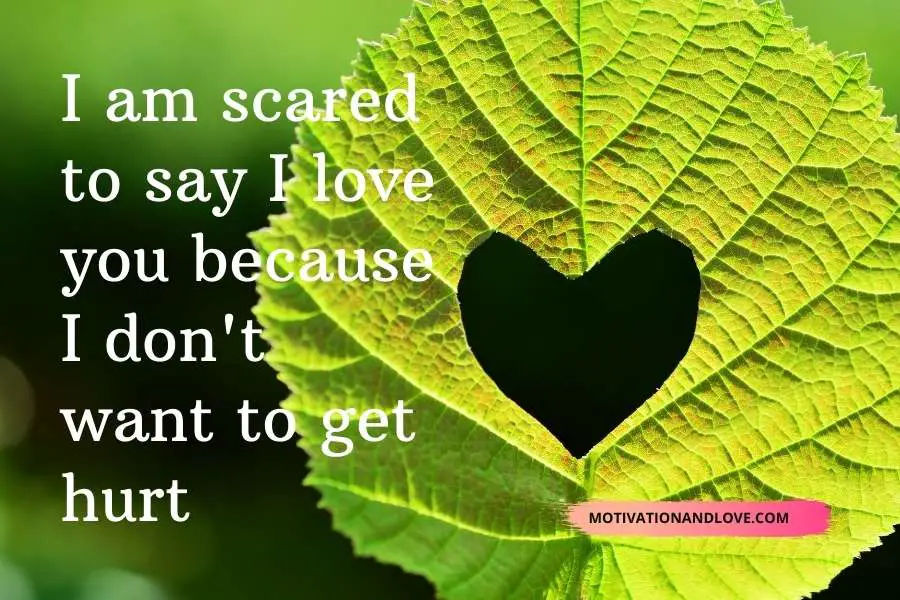 I Love You But Im Scared Quotes 1
