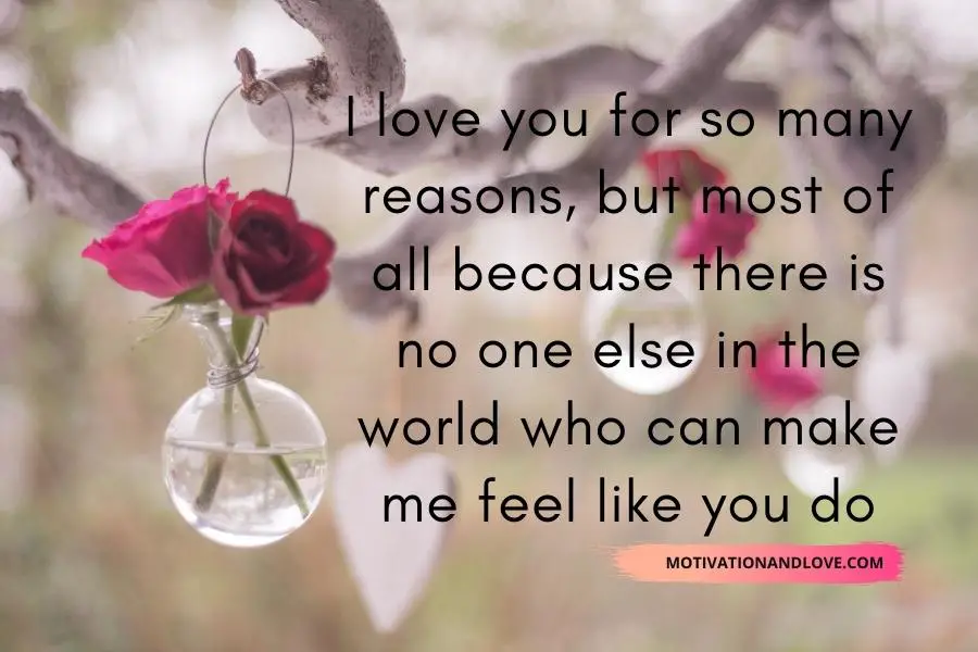 I Love You for Many Reasons Quotes