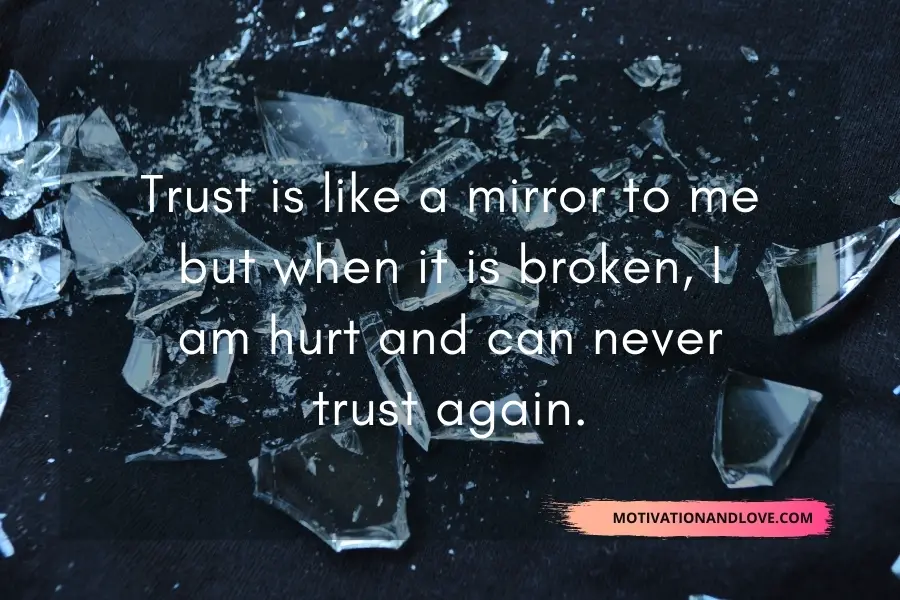 I Will Never Trust Anyone Again Quotes