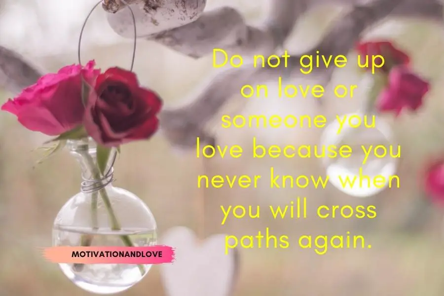 Never Give Up on Someone You Love Quotes