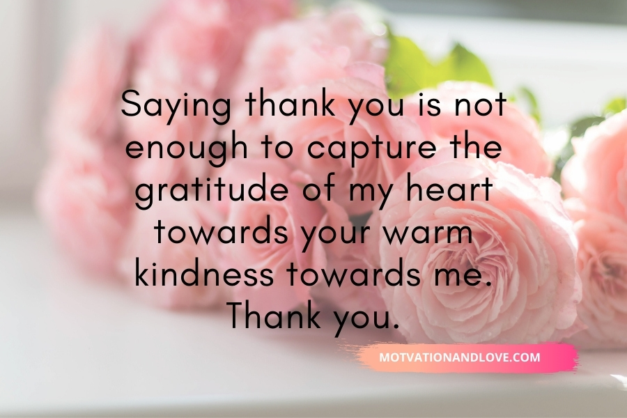 Saying Thank You Is Not Enough Quotes Motivation And Love