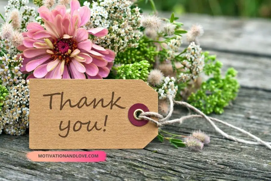 Thank You Quotes for Wedding Guests