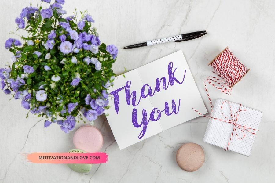 Thank You for the Good Times Quotes