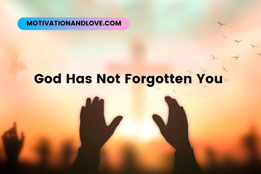God Has Not Forgotten You Quotes