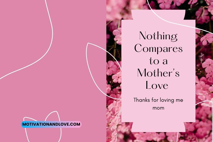 Nothing Compares to a Mothers Love Quotes