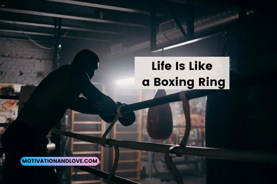 Life Is Like a Boxing Ring Quotes