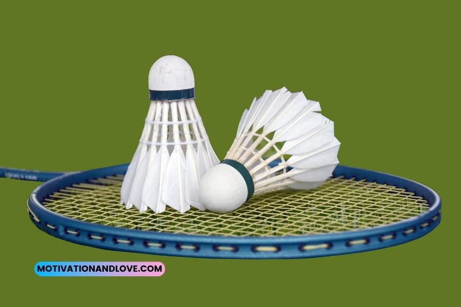 Badminton Motivational Quotes