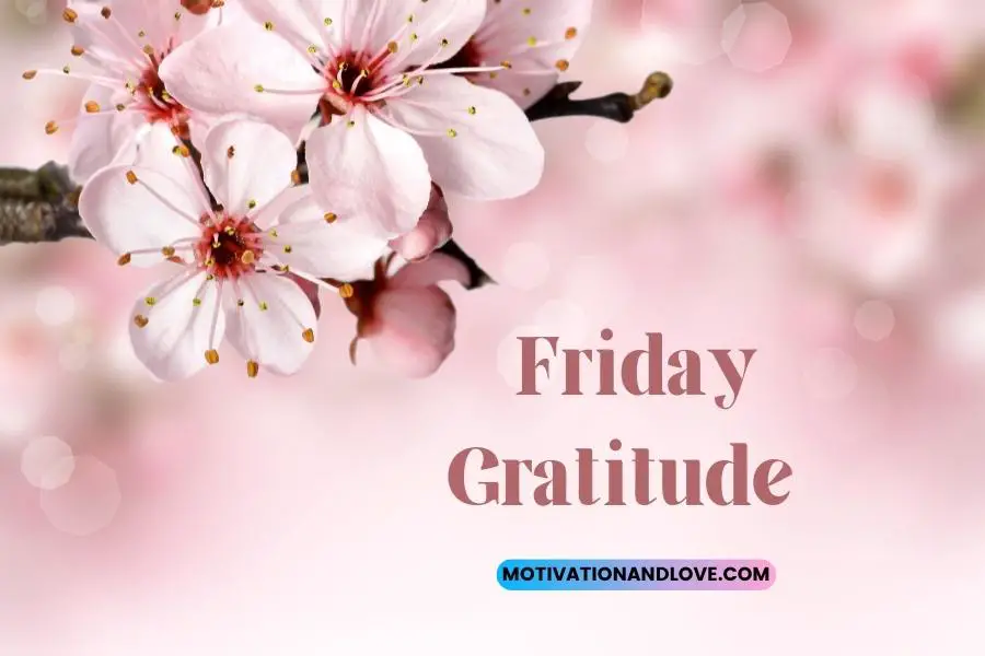 Friday Gratitude Quotes