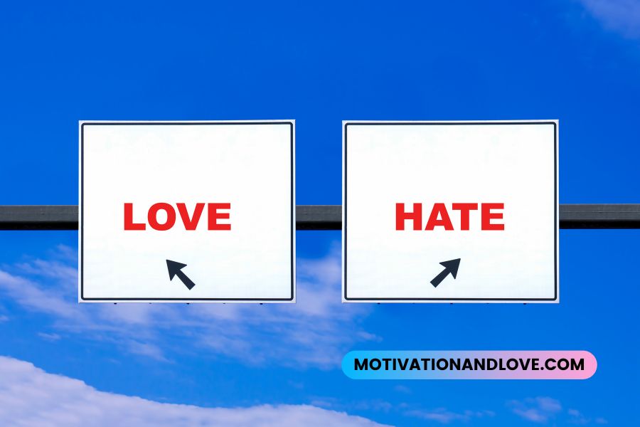 I Love Someone Who Hates Me Quotes