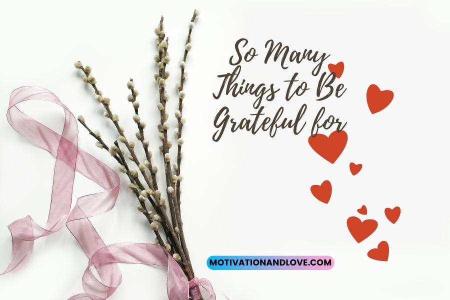 So Many Things to Be Grateful for Quotes