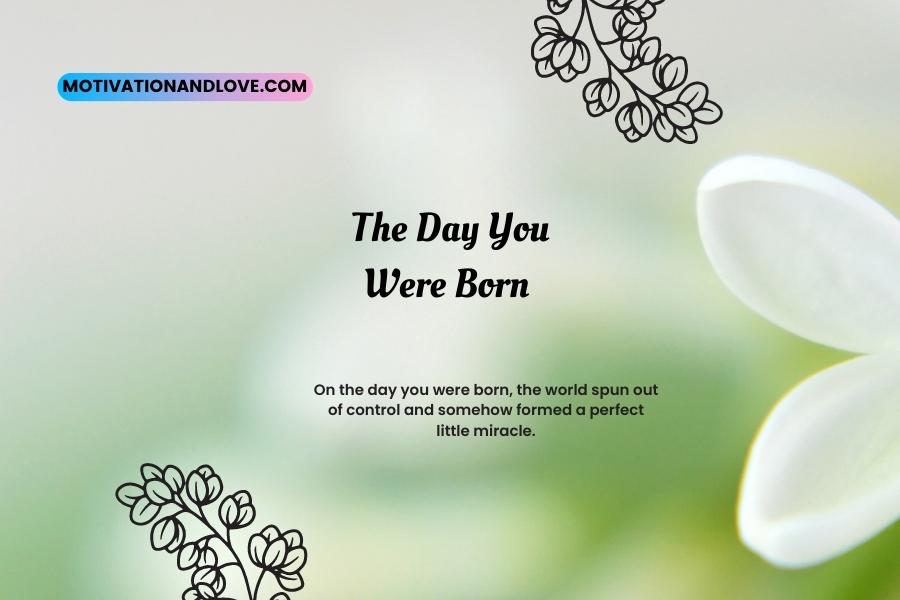 The Day When I Was Born Quotes