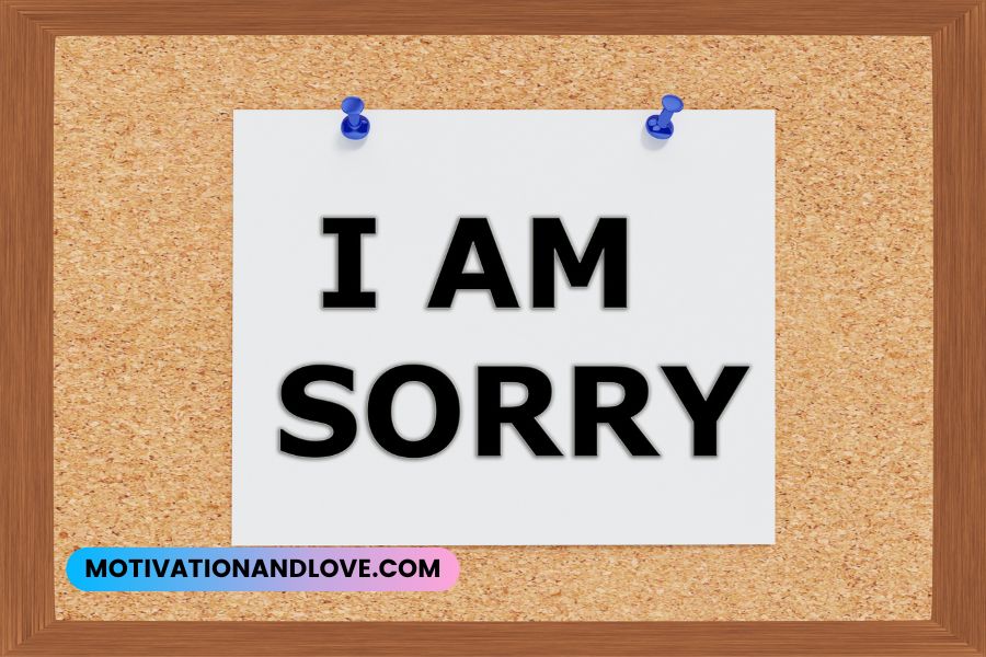 I Am Sorry for Being a Jerk Quotes