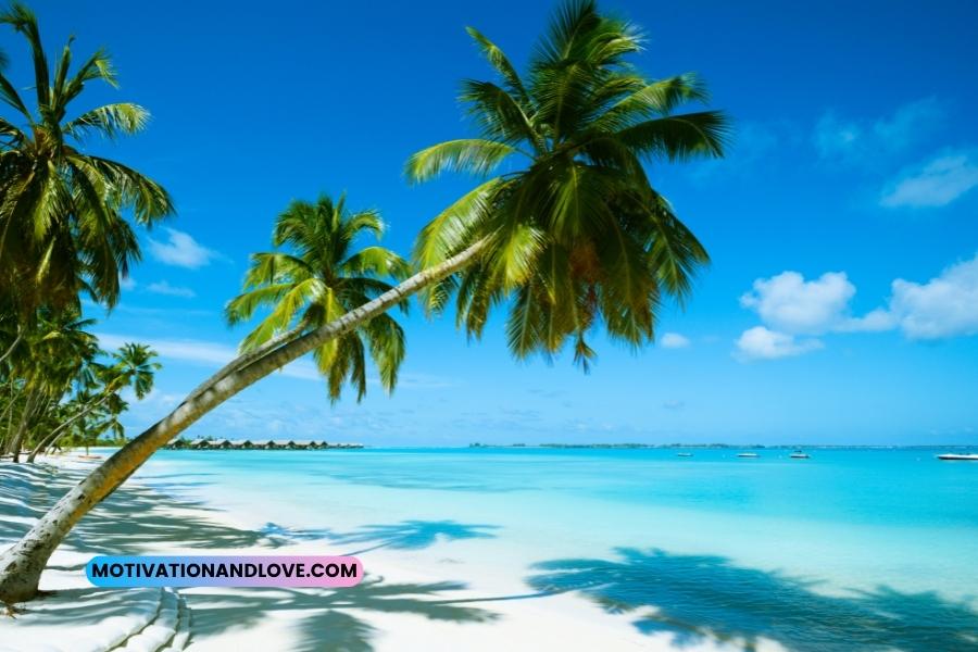 I Need the Beach Quotes