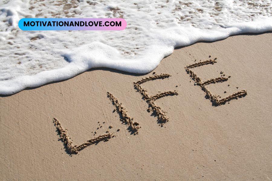 Quotes About Not Taking Life for Granted