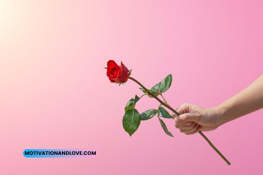 A Single Red Rose Quotes