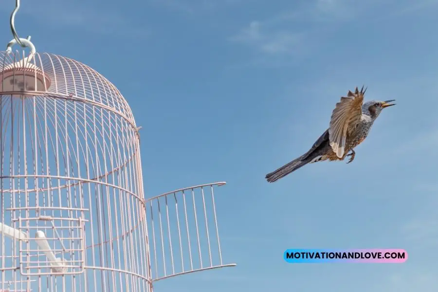 Bird Flying Out of Cage Quotes