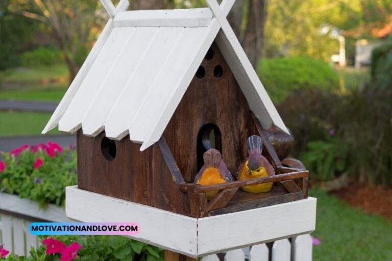 Bird House Quotes and Sayings Motivation and Love