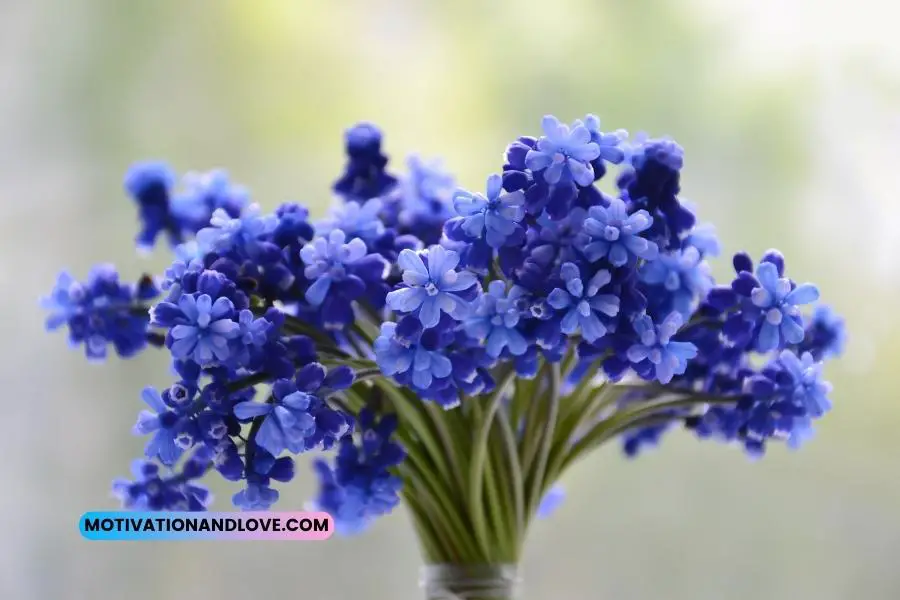 Blue Flower Quotes
