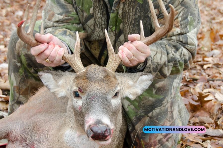 Deer Hunting Quotes and Sayings