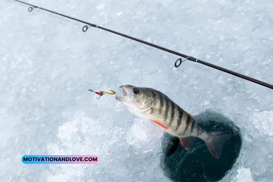 Ice Fishing Quotes and Sayings
