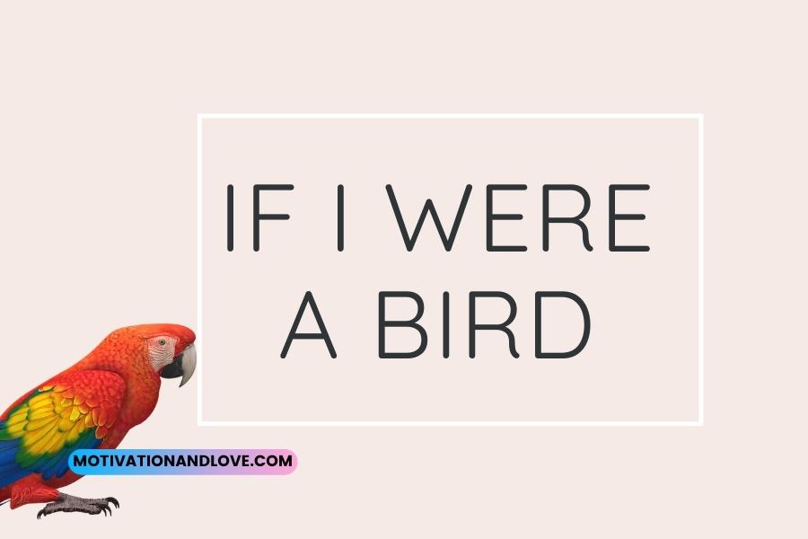 If I Were a Bird Quotes