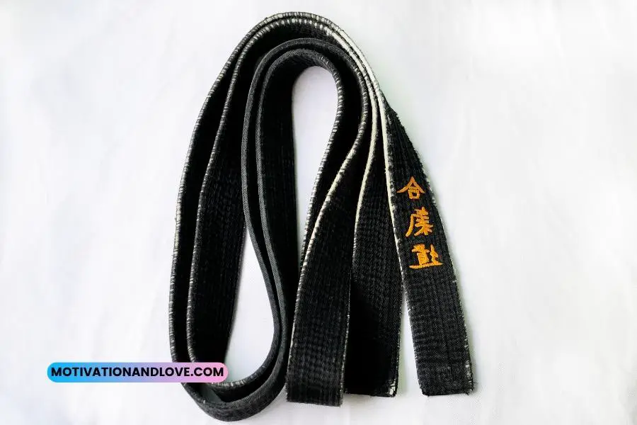 Taekwondo Black Belt Quotes