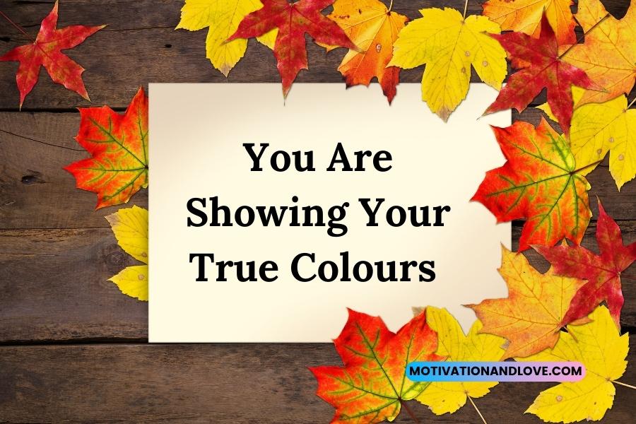 You Are Showing Your True Colours Quotes