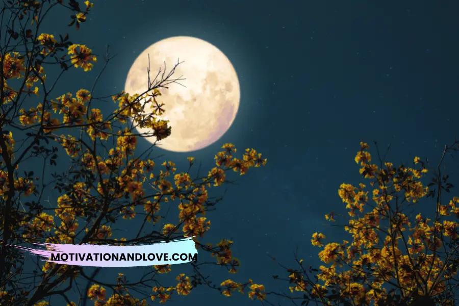 Beautiful Full Moon Night Quotes