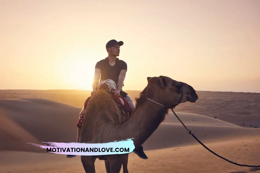 Camel Ride Quotes