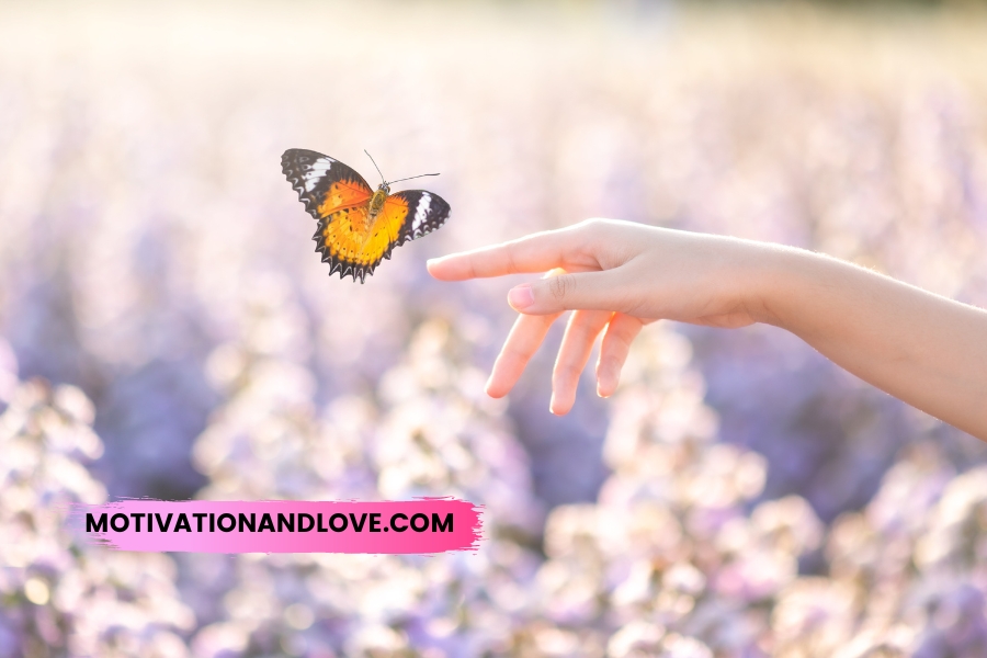 Life Is Like a Butterfly Quotes