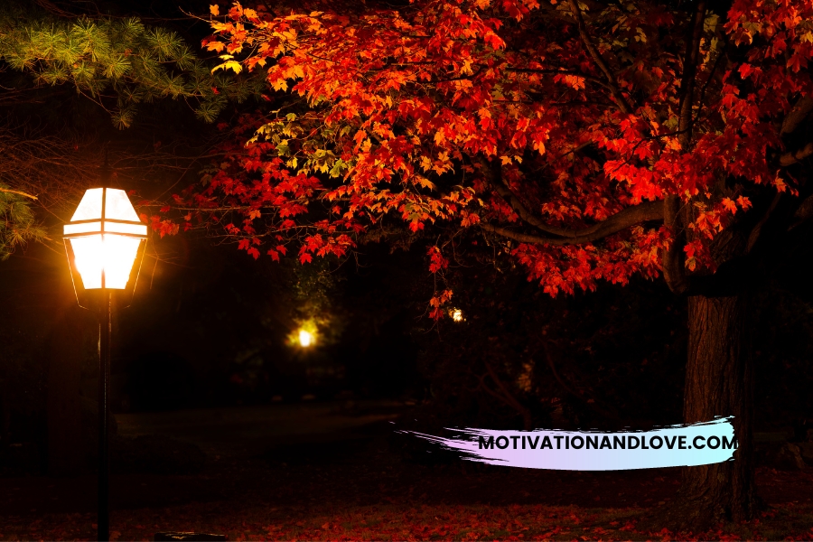 Autumn Nights Quotes