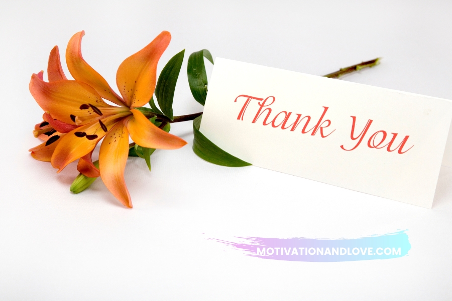 Thank You Quotes for Employer