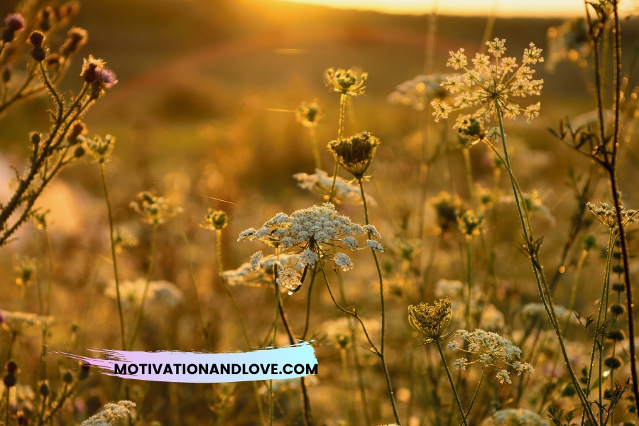 Tomorrow Is a Brand New Day Quotes